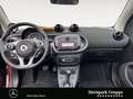 smart forTwo fortwo cabrio twinamic LED&Sensor*Cool&Audio*SHZ Weiß - thumbnail 10