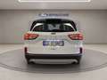 Ford Kuga 1.5 ecoblue Connect 2wd 120cv auto Bianco - thumbnail 4