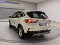 Ford Kuga 1.5 ecoblue Connect 2wd 120cv auto Bianco - thumbnail 7