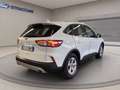 Ford Kuga 1.5 ecoblue Connect 2wd 120cv auto Bianco - thumbnail 3