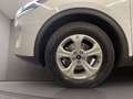 Ford Kuga 1.5 ecoblue Connect 2wd 120cv auto Bianco - thumbnail 6