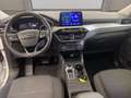 Ford Kuga 1.5 ecoblue Connect 2wd 120cv auto Bianco - thumbnail 5