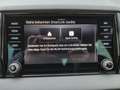 Skoda Karoq 4x4 Sportline TDI DSG Grau - thumbnail 18