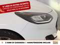 Ford Fiesta 5p 1.0 ecoboost h st-line 125cv Alb - thumbnail 14