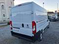 Fiat Ducato KW 120 MT L2H2 Serie 9 3300 Bianco - thumbnail 6