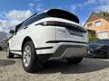 Land Rover Range Rover Evoque D150 Navi*LED*Spurhaltesystem Weiß - thumbnail 12