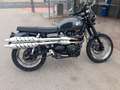 Triumph Scrambler 900 efi Grigio - thumbnail 1