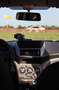 Suzuki Alto Alto 1.0 Comfort - thumbnail 7