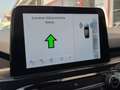 Ford Kuga 2.5 Plug In Hybrid 225 CV CVT 2WD ST-Line X Grigio - thumbnail 14