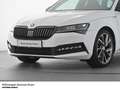 Skoda Superb Combi Sportline TDI DSG Matrix Columbus DCC AHK Weiß - thumbnail 7