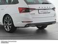 Skoda Superb Combi Sportline TDI DSG Matrix Columbus DCC AHK Weiß - thumbnail 6
