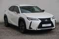 Lexus UX 250h Style Edition Weiß - thumbnail 7