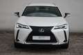 Lexus UX 250h Style Edition Weiß - thumbnail 8