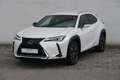 Lexus UX 250h Style Edition Weiß - thumbnail 1
