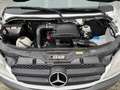 Mercedes-Benz Sprinter 313 2.2 CDI 366 MARGE Rolstoellift 9-persoons Auto Weiß - thumbnail 40