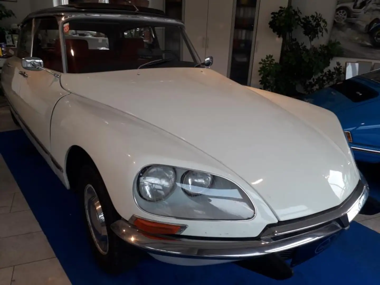 Citroen DS 21 Weiß - 2