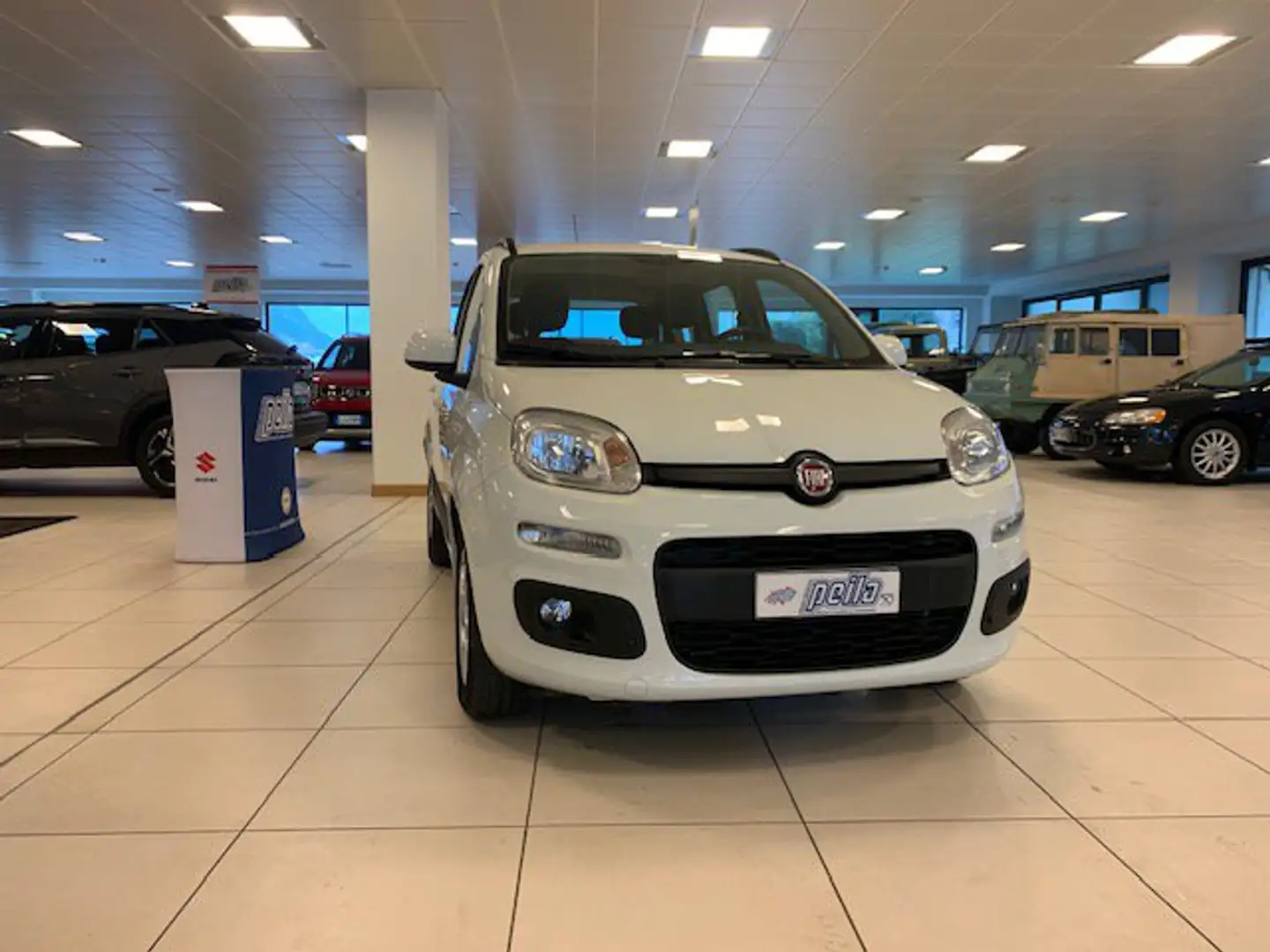 Fiat Panda Panda 1.2 Lounge Bianco - 2