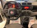 Fiat Panda Panda 1.2 Lounge Bianco - thumbnail 10