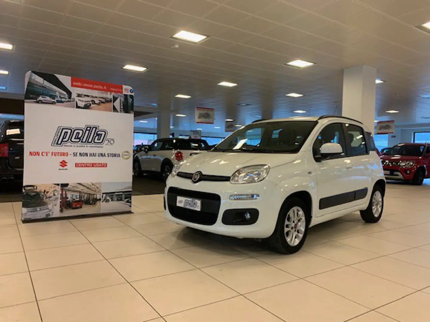 Fiat Panda Panda 1.2 Lounge Bianco - 1