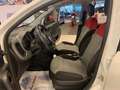 Fiat Panda Panda 1.2 Lounge Bianco - thumbnail 5