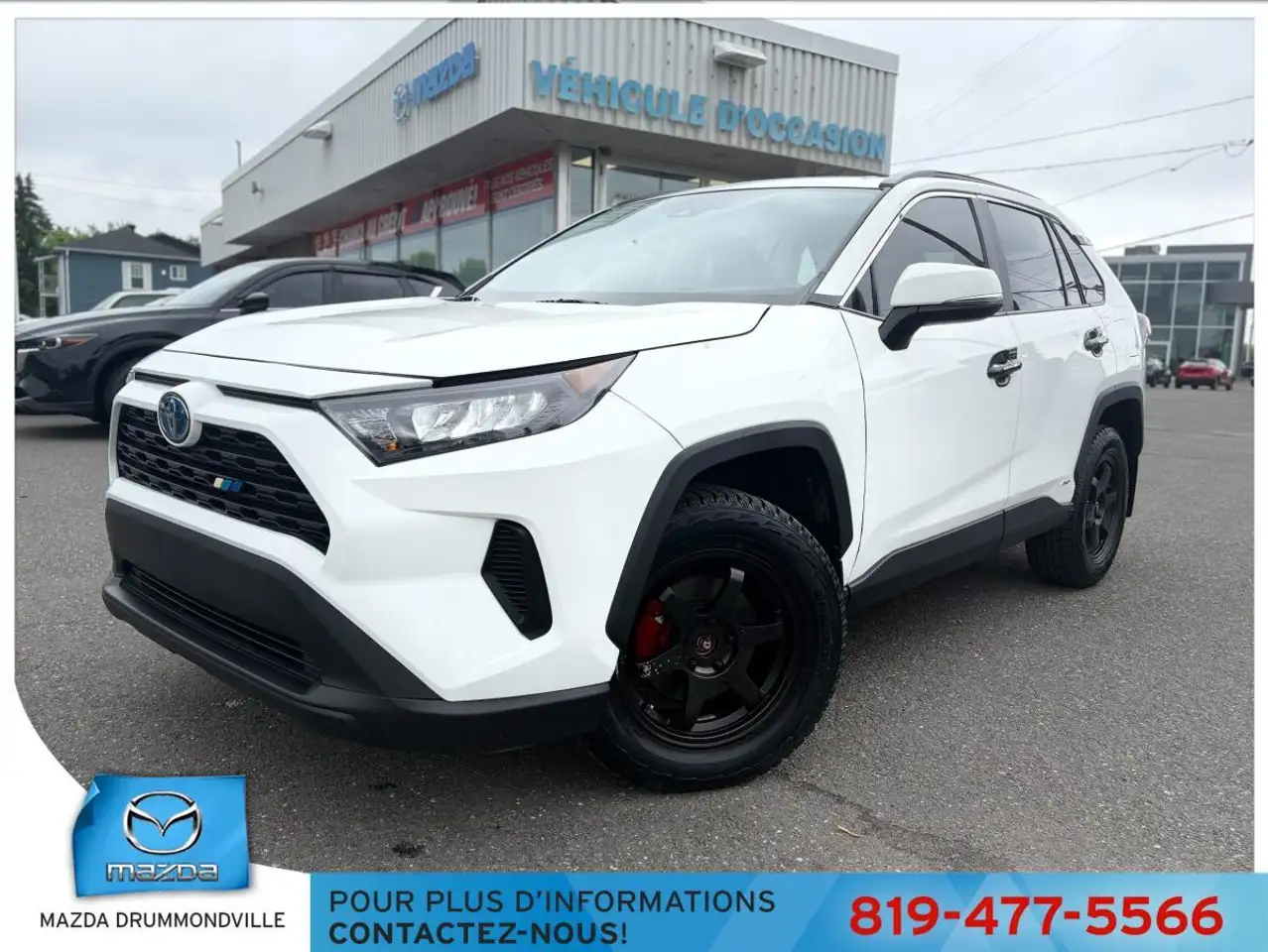 2023 Toyota RAV 4