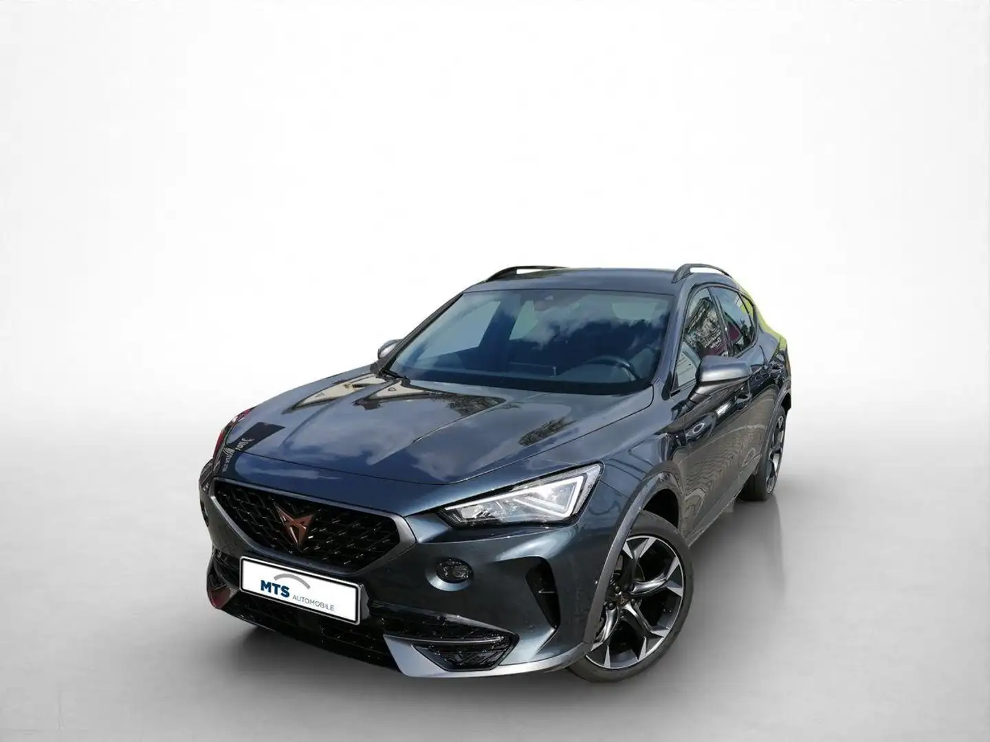 CUPRA Formentor 2.0 TDI 4Drive 110 kW (150 PS) 7 Grau - 1