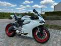 Ducati 899 Panigale Blanc - thumbnail 13