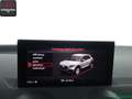 Audi SQ2 SQ2 2.0 TFSI qu MATRIX,KEYLESS,SONOS,KAMERA,AHK Schwarz - thumbnail 21