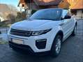 Land Rover Range Rover Evoque Range Rover Evoque Cabriolet Dynamic 2,0 TD4 Aut. Dynamic Weiß - thumbnail 3