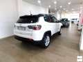 Jeep Compass 1.6 Mjt II 2WD Limited Blanc - thumbnail 4