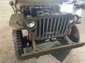 Jeep Willys conservata e  perfetta. Asi - thumbnail 2
