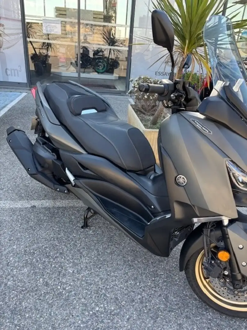 Yamaha Grigio - 2
