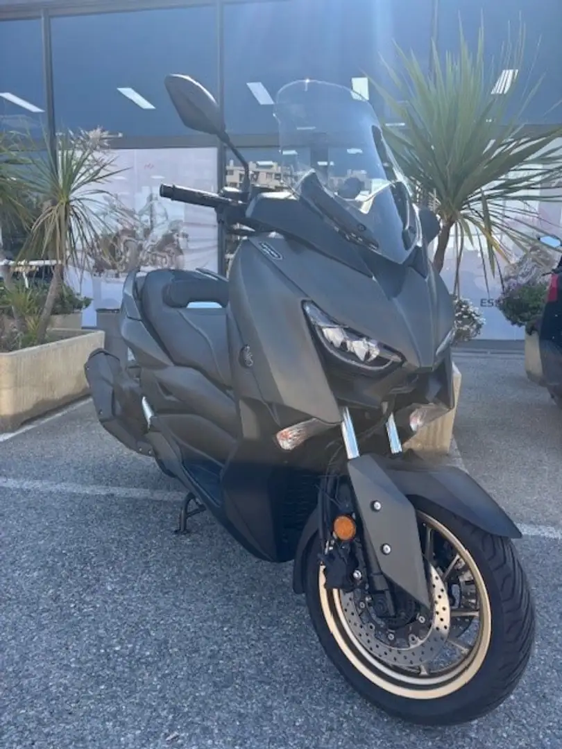 Yamaha Grigio - 1