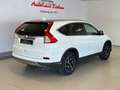Honda CR-V 1.6i DTEC 4WD Automatik Elegance + AHK + Weiß - thumbnail 8