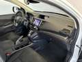 Honda CR-V 1.6i DTEC 4WD Automatik Elegance + AHK + Weiß - thumbnail 13