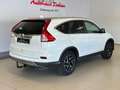Honda CR-V 1.6i DTEC 4WD Automatik Elegance + AHK + Weiß - thumbnail 9