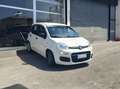 Fiat Panda Panda III 2016 1.2 Lounge easypower Gpl 69cv my19 Bianco - thumbnail 6