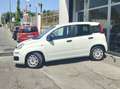 Fiat Panda Panda III 2016 1.2 Lounge easypower Gpl 69cv my19 Bianco - thumbnail 3