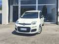 Fiat Panda Panda III 2016 1.2 Lounge easypower Gpl 69cv my19 Bianco - thumbnail 1
