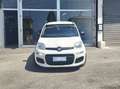Fiat Panda Panda III 2016 1.2 Lounge easypower Gpl 69cv my19 Bianco - thumbnail 5
