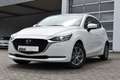 Mazda 2 Lim. Center-Line Weiß - thumbnail 8