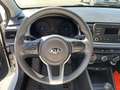 Kia Rio 1,2 Reimport Klima Fenster el. Weiß - thumbnail 12
