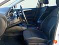 Ford Focus 1.5 Ecoblue Active 120 Blanco - thumbnail 8