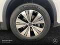 Mercedes-Benz EQA 300 4M PROG+PLUS-PAKET+AHK+PANO+360+KEYLESS Weiß - thumbnail 6
