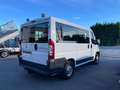 Fiat Ducato Fiat Ducato 2.0 MultiJet - Manuale - 115 CV Blanco - thumbnail 4