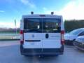 Fiat Ducato Fiat Ducato 2.0 MultiJet - Manuale - 115 CV Blanco - thumbnail 5