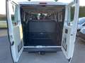 Fiat Ducato Fiat Ducato 2.0 MultiJet - Manuale - 115 CV Blanco - thumbnail 9