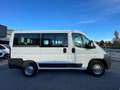 Fiat Ducato Fiat Ducato 2.0 MultiJet - Manuale - 115 CV Blanco - thumbnail 7