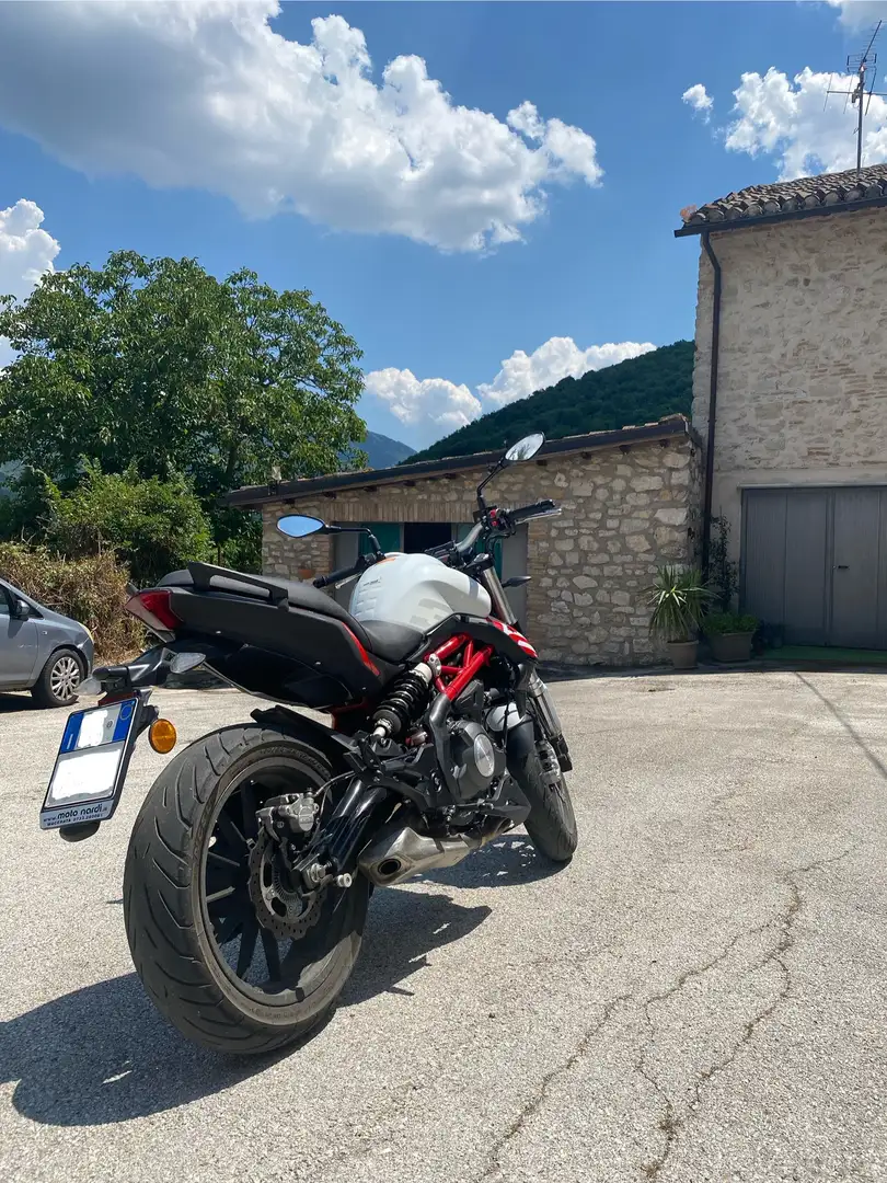 Benelli BN 302 Blanc - 2
