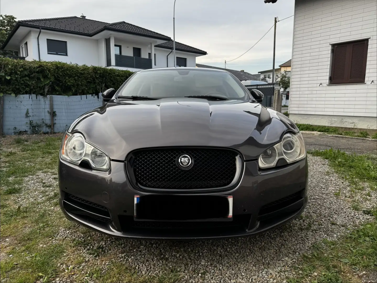 Jaguar XF 3,0 Diesel S Premium Luxury Grau - 1